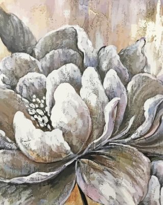 White Grey Flower Paint By Numbers