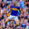 Hurling Sport Player Paint By Numbers