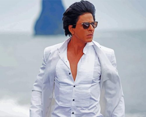 Indian Actor Shah Rukh Khan Paint By Numbers