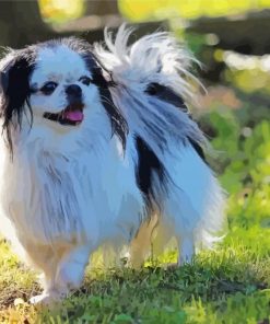 Japanese Chin Dog Paint By Numbers