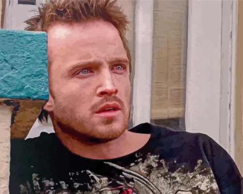 Jesse Pinkman Paint By Numbers