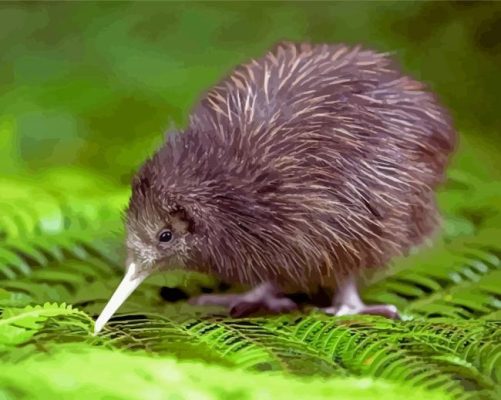 Kiwi Bird Paint By Numbers