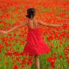 Lady In Poppy Field Paint By Numbers