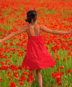 Lady In Poppy Field Paint By Numbers