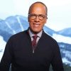 Lester Holt American Journalist Paint By Numbers