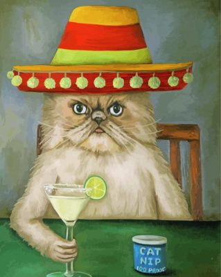 Mad Cat In Sombrero Paint By Numbers