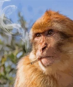 Monkey Animal Smoking Paint By Numbers