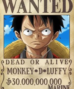 Monkey D Luffy One Piece Wanted Paint By Numbers