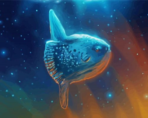 Ocean Sunfish Art Paint By Numbers