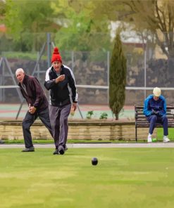 Old Men Playing Crown Green Bowls Paint By Numbers