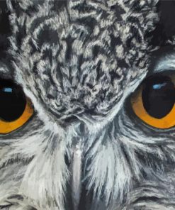 Owl Eyes Paint By Numbers