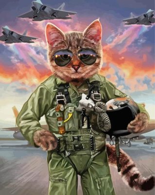 Pilot Cat Paint By Numbers