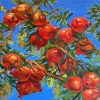 Pomegranate Tree Branches Paint By Numbers
