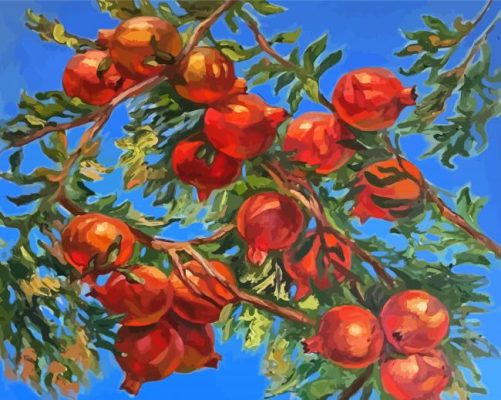 Pomegranate Tree Branches Paint By Numbers