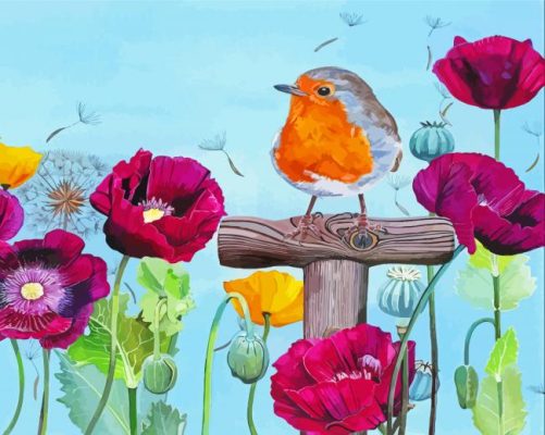 Poppies With Robin Paint By Numbers