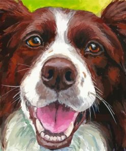 Red And White Border Collie Paint By Numbers