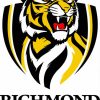 Richmond Football Club Paint By Numbers
