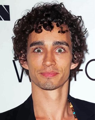 Robert Sheehan Paint By Numbers