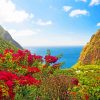 Saint Lucia Island In The Caribbean Paint By Numbers