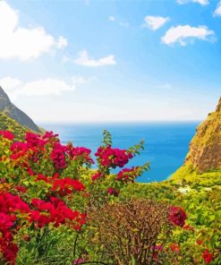Saint Lucia Island In The Caribbean Paint By Numbers