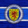 Scotland Football Club Paint By Numbers