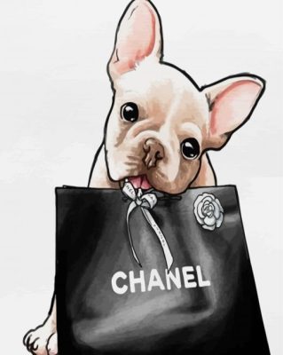 The Chanel Dog Paint By Numbers