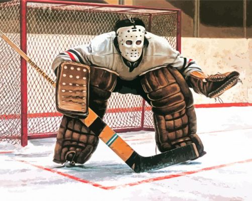 The Hockey Goalie Paint By Numbers