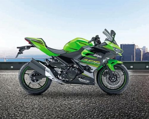 The Kawasaki Ninja Paint By Numbers