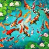 The Koi Fish Paint By Numbers