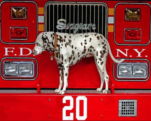 The Dalmatian And Fire Truck Paint By Numbers