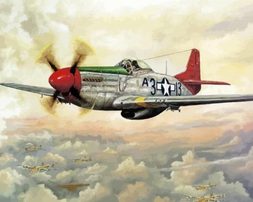 Tuskegee Airmen Military Art Paint By Numbers