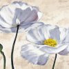 Two White Poppies Paint By Numbers
