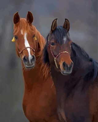 Two Horses Paint By Numbers