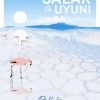 Uyuni Poster Paint By Numbers