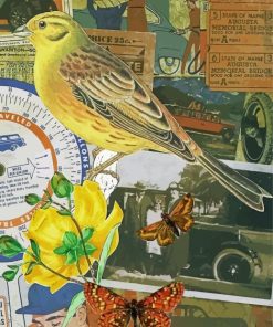 Vintage Yellowhammer Bird And Butterflies Paint By Numbers