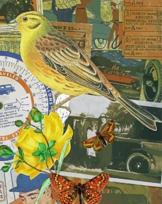 Vintage Yellowhammer Bird And Butterflies Paint By Numbers