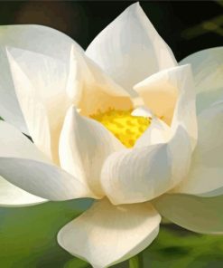 White Lotus Blossom Paint By Numbers