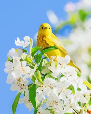 Yellow Bird And White Flowers Paint By Numbers