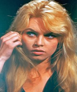 Brigitte Bardot Paint By Numbers