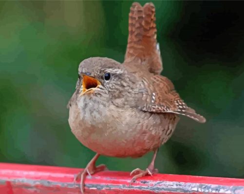 Aesthetic English Wren Paint By Numbers