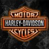 Aesthetic Harley Davidson Logo Paint By Numbers