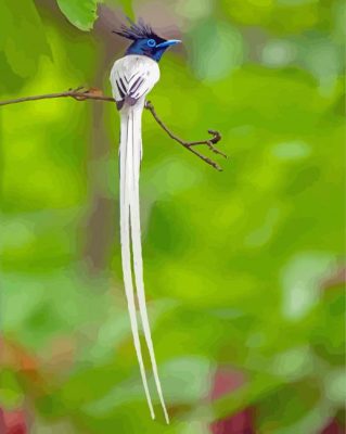 Aesthetic Indian Paradise Flycatcher Paint By Numbers