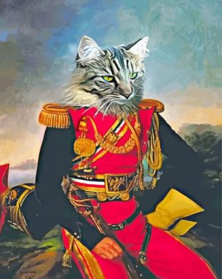 Aesthetic Military Cat Art Paint By Numbers