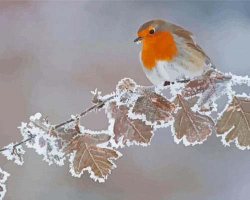 Aesthetic Winter Robin Paint By Numbers