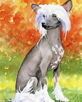 Aesthetic Chinese Crested Dog Paint By Numbers