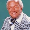 American Comedian Redd Foxx Paint By Numbers
