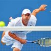 Andy Roddick Paint By Numbers