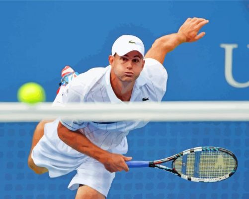 Andy Roddick Paint By Numbers