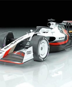 Audi F1 Sauber Car Paint By Numbers