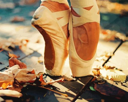 Ballerina Shoe With Autumn Leaves Paint By Numbers